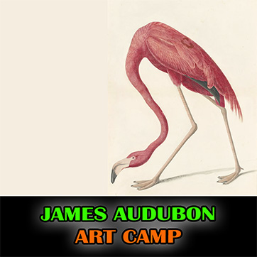 362-summer-art-camp-2025-JAMES_AUDUBON.jpg