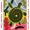 6-16-25-turtle_time__art-camp__clay_handbuilding_am