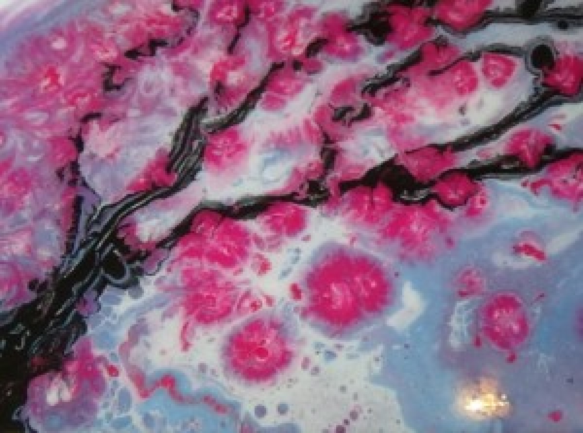 Cherry_Blossom_Fluid_Art_Acrylic_Pour.jpg