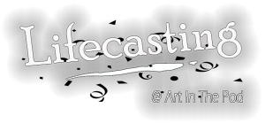 Lifecasting FAQ&#039;S